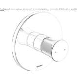 Concealed single-lever shower mixer with plate Truckee