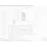 Single wooden washbasin cabinet with mirror Yeppoon