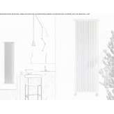 Decorative, vertical, wall-mounted water radiator Larimore