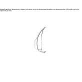 Towel rack in chrome-plated brass Tahoka