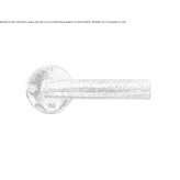 Bronze door handle on the back plate Anthiro
