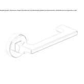 Brass door handle on a rosette Caln