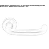 Stainless steel handle on a rosette Lircay