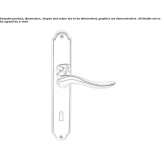 Brass handle on the back plate Theillay