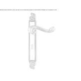 Brass handle on the back plate Congaz