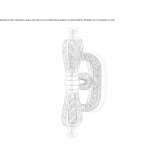 DK brass window handle on a rosette Congaz