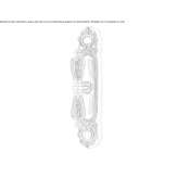 Brass window handle on the back plate Congaz