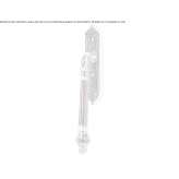 Brass pull handle Congaz