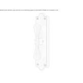 Brass window handle on the back plate Congaz