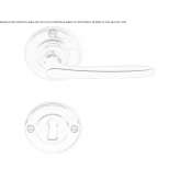 Brass handle on a rosette with a lock Congaz