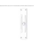 Brass window handle on the back plate Congaz