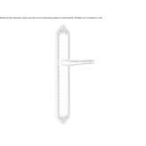 Brass handle on the back plate Golega