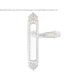 Brass handle on the back plate Golega