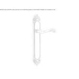 Brass handle on the back plate Kacinar