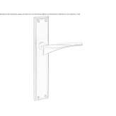 Brass handle on the back plate Ashwell