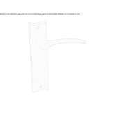 Brass handle on the back plate Ashwell