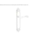 Brass handle on the back plate Kacinar
