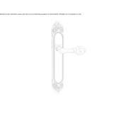 Brass handle on the back plate Bendorf