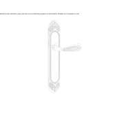 Brass handle on the back plate Kacinar