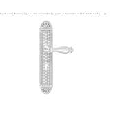 Indian style brass door handle on the back plate Mello