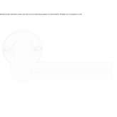 Nickel handle on the rosette Bodo