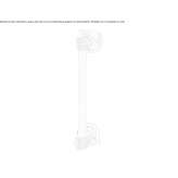 Brass pull handle Parsau