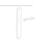Brass handle on the back plate Costur