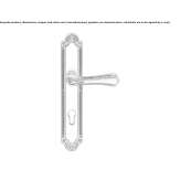 Chrome-plated brass door handle on the back plate Oldrisov