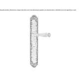 Classic style brass door handle on the back plate Rotem