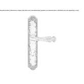 Classic style brass door handle on the back plate Rotem