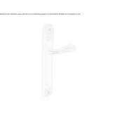 Brass handle on the back plate Chiusi