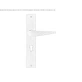 Brass door handle in a modern style on the back plate Holo