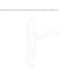 Brass handle on the back plate Raoul