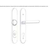 Brass door handle with thumb button on the back plate Sunbury