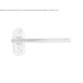 Bronze door handle on the back plate Anthiro