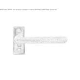 Bronze door handle on the back plate Anthiro