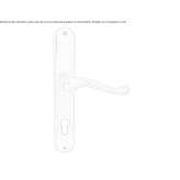 Brass handle on the back plate Sunbury