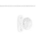 Bronze door handle on the back plate Anthiro