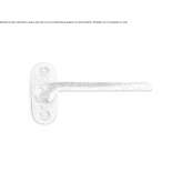 Bronze door handle on the back plate Anthiro