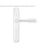 Bronze door handle on the back plate Anthiro