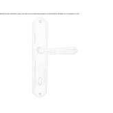 Brass handle on the back plate Sunbury