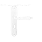 Brass handle on the back plate Sunbury