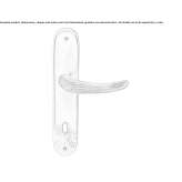 Bronze door handle on the back plate Gillen