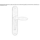 Bronze door handle on the back plate Gillen