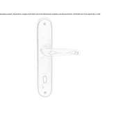 Bronze door handle on the back plate Gillen