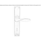 Bronze door handle on the back plate Gillen