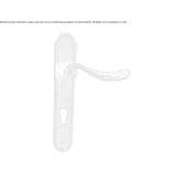 Wrought iron door handle on backplate Schwerte