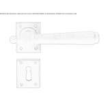 Iron handle on a rosette with a lock Veladero