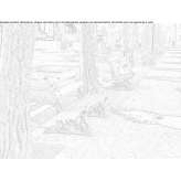 Wooden bench with backrest Rzeczyca