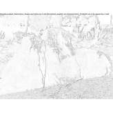 Artificial fiberglass rocks Coppito